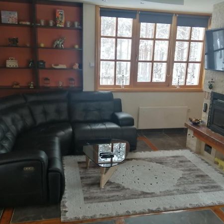Vila Panic Zlatibor Kültér fotó