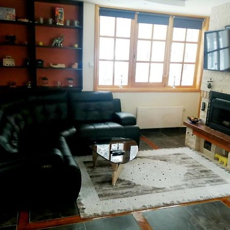 Vila Panic Zlatibor Kültér fotó