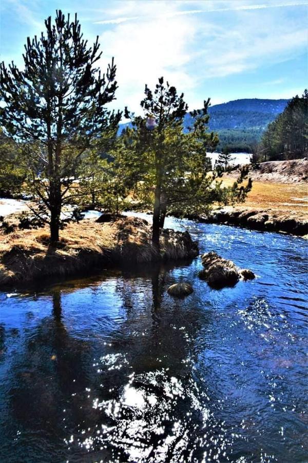 Vila Panic Zlatibor Kültér fotó