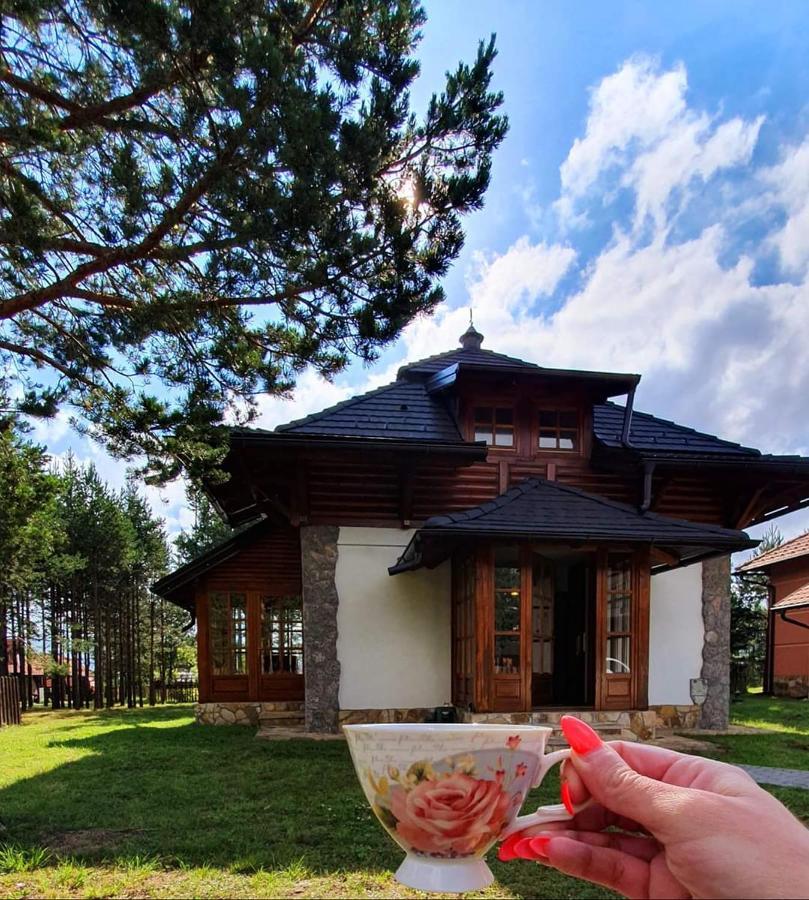 Vila Panic Zlatibor Kültér fotó
