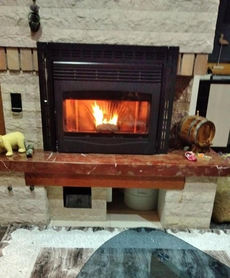Vila Panic Zlatibor Kültér fotó