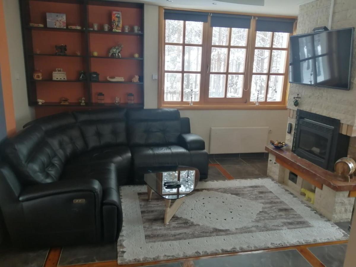 Vila Panic Zlatibor Kültér fotó