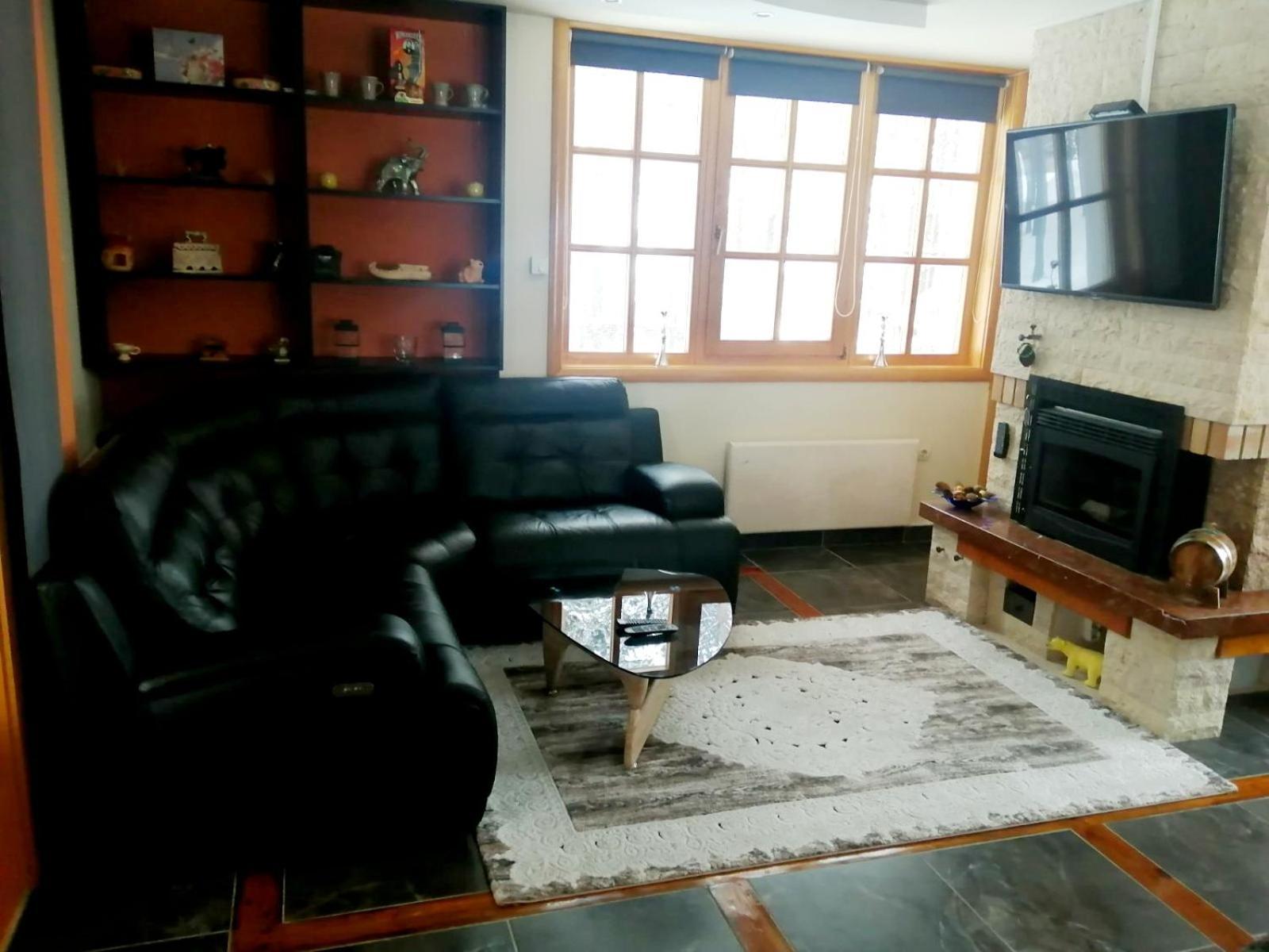Vila Panic Zlatibor Kültér fotó
