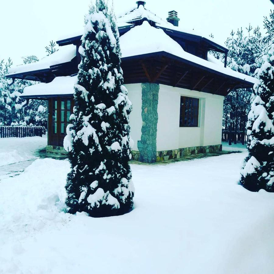 Vila Panic Zlatibor Kültér fotó