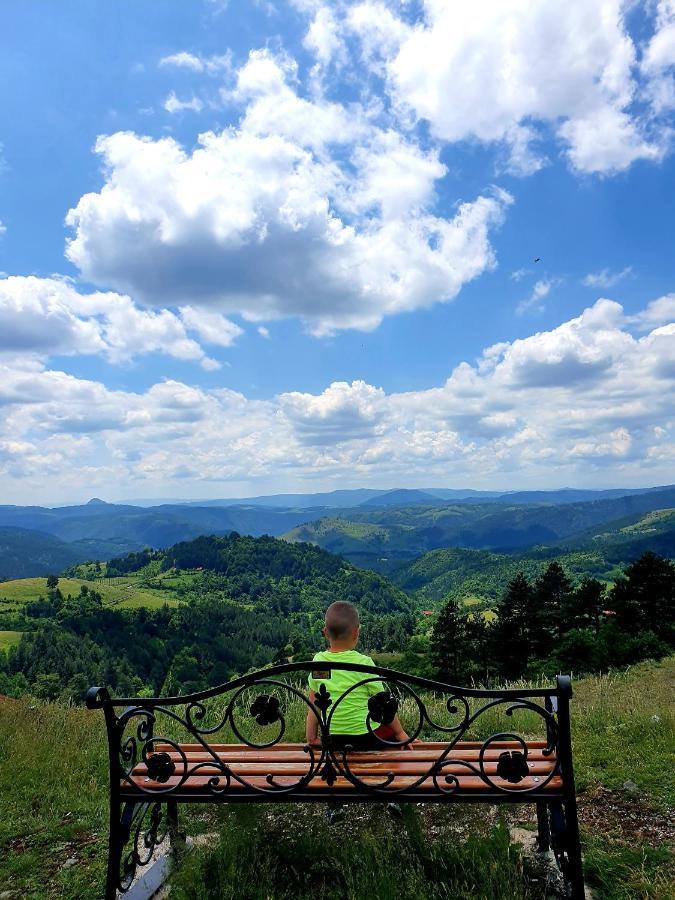 Vila Panic Zlatibor Kültér fotó