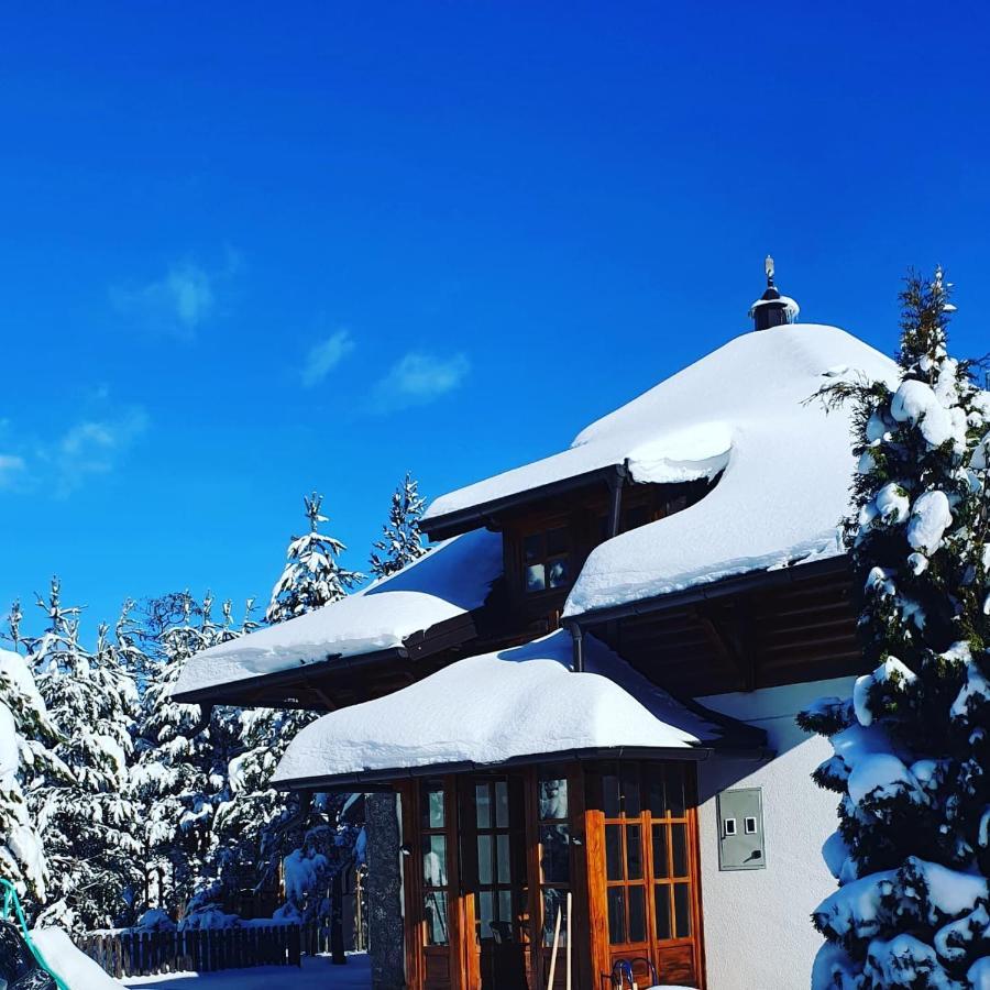 Vila Panic Zlatibor Kültér fotó